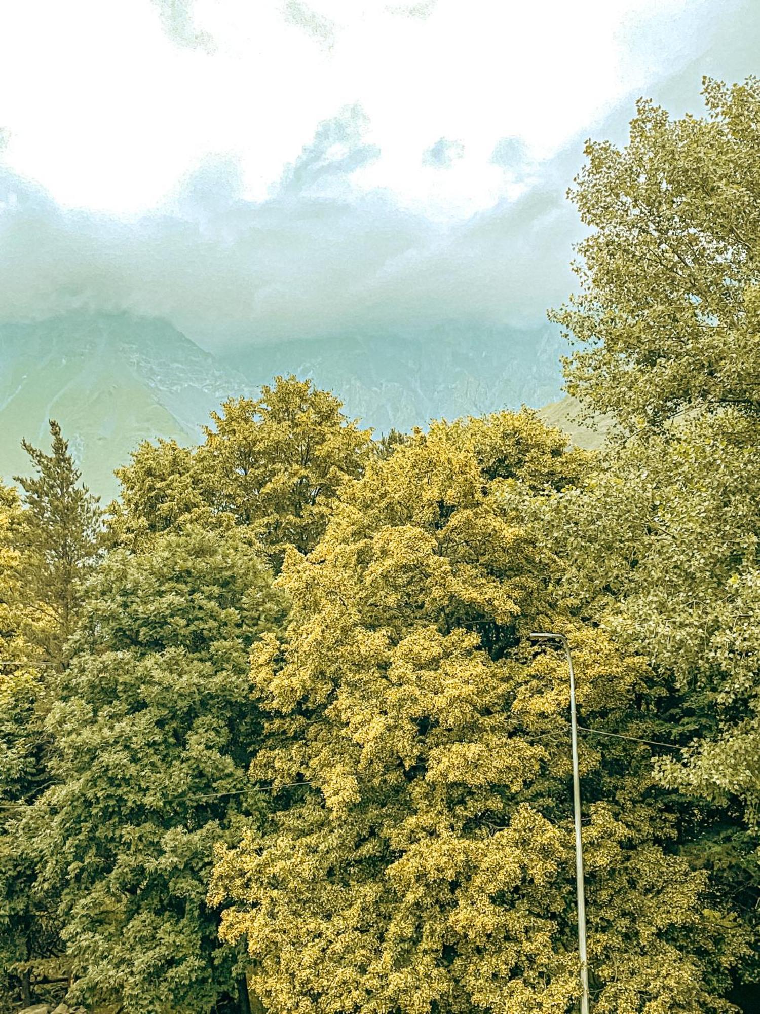 Hotel Gold Kazbegi Εξωτερικό φωτογραφία