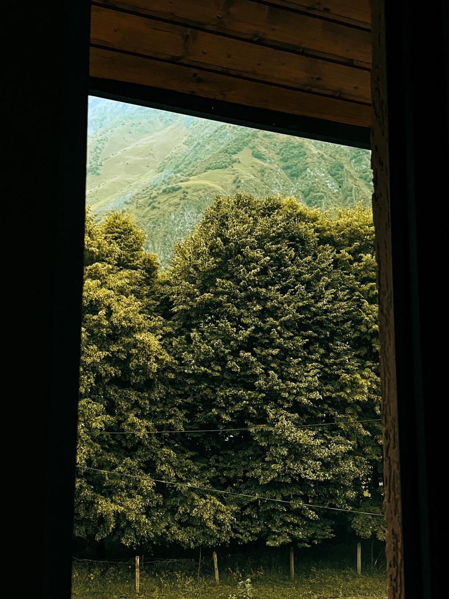 Hotel Gold Kazbegi Εξωτερικό φωτογραφία
